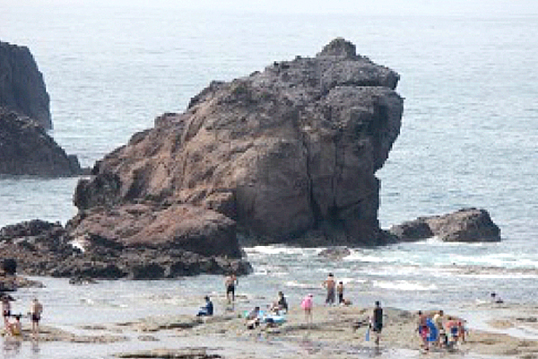 かえる島