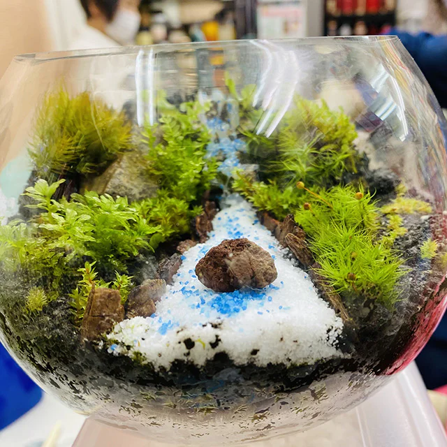 兵庫五国苔リトリートツアー