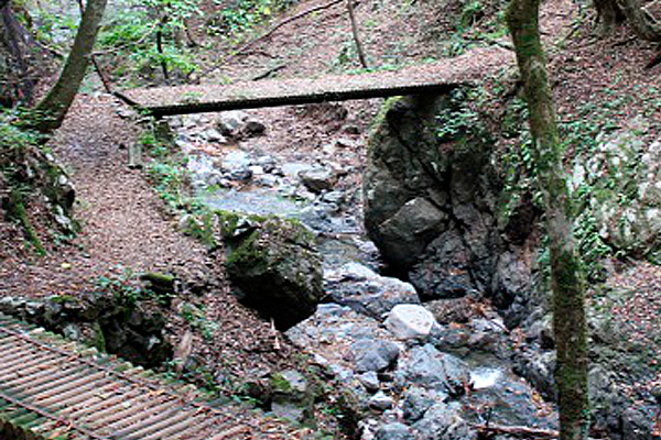 天滝への登山道