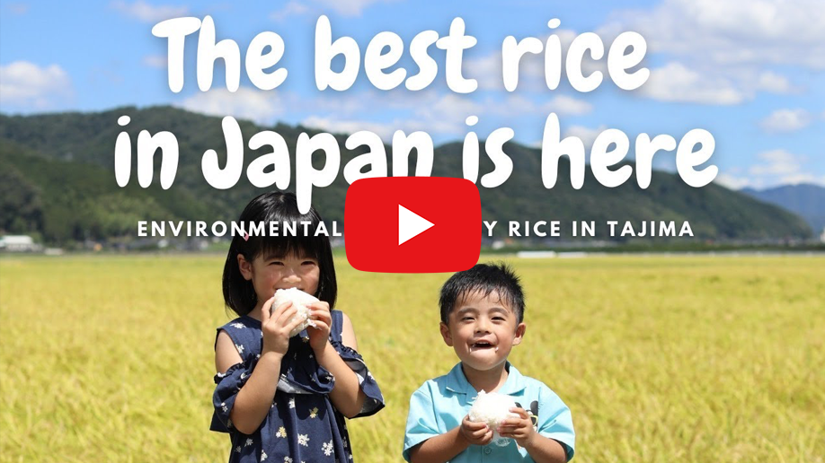 The best rice in Japan is here.