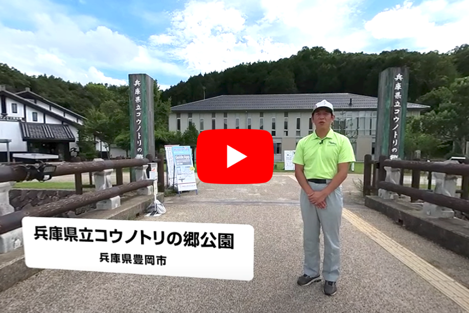 兵庫県立コウノトリの郷公園（360°VR映像）