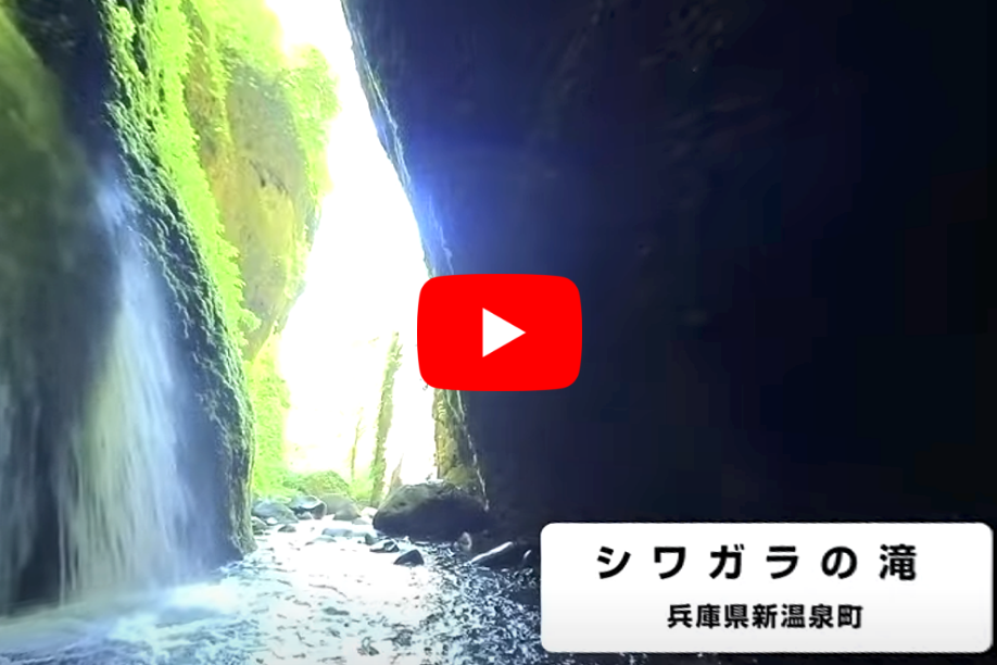 シワガラの滝（360°VR映像）