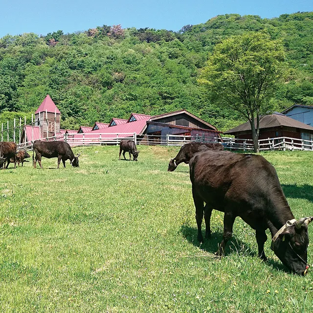 兵庫県立但馬牧場公園